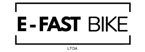 LOGO-E-FAST-VETOR-k.png